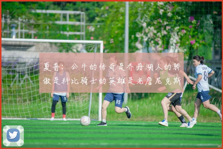 夏普：公牛的传奇是乔丹湖人的骄傲是科比骑士的英雄是老詹尼克斯的希望是布伦森