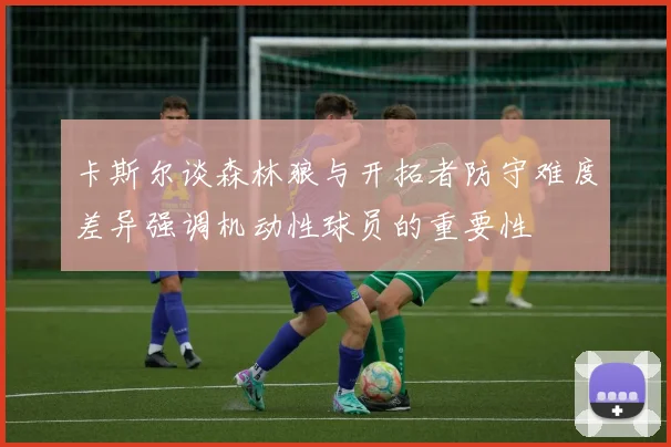 卡斯尔谈森林狼与开拓者防守难度差异强调机动性球员的重要性